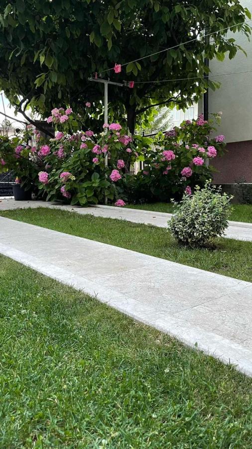 Apartament Visoko New Concept Zewnętrze zdjęcie